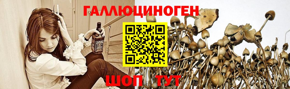 закладка  Вход с VPN  Зеленодольск  Галлюциногенные грибы Magic Shrooms 
