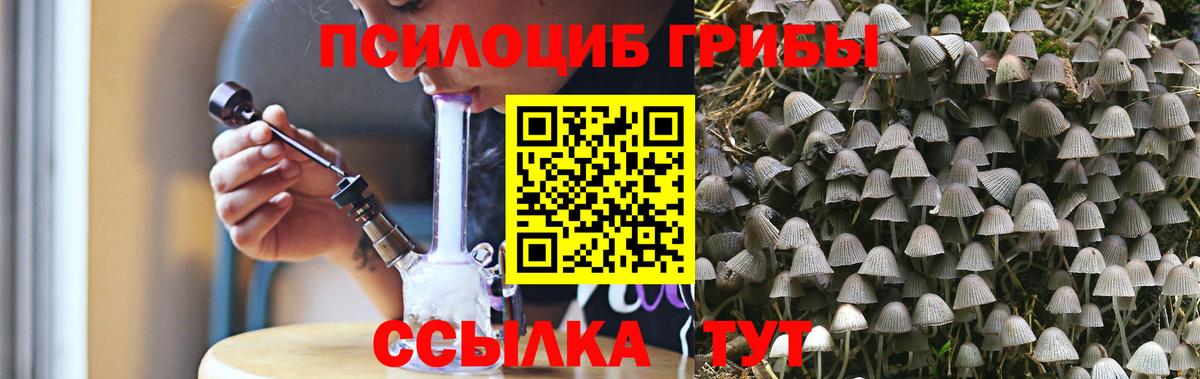 Галлюциногенные грибы ЛСД Зеленодольск